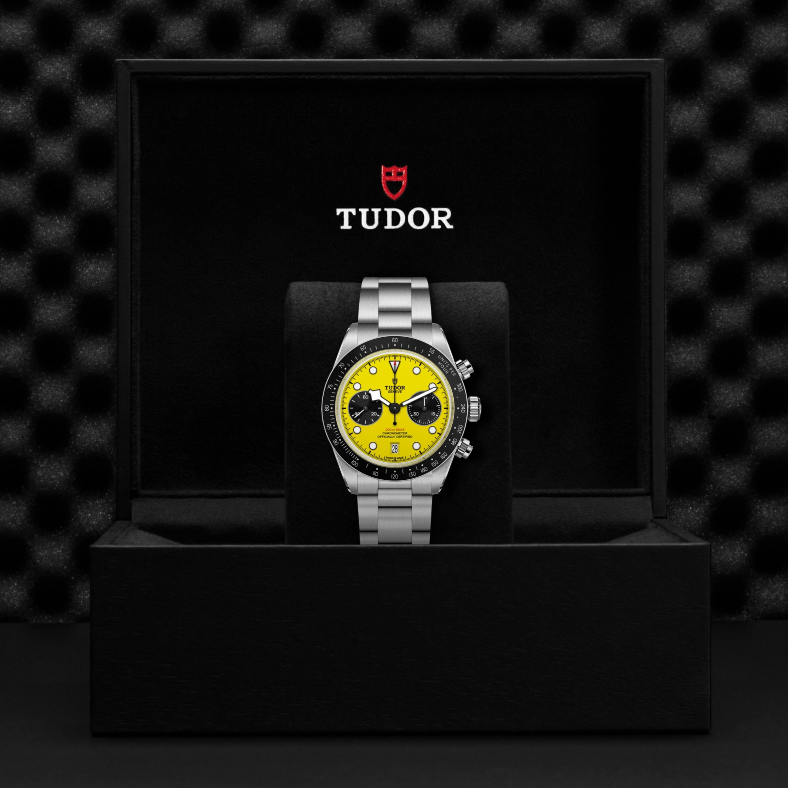 Tudor Watch